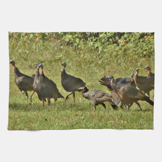 Wilde Turkije, Camouflage-kleuren Theedoek (Horizontaal)