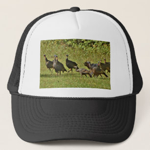Wilde Turkije, Camouflage-kleuren Trucker Pet