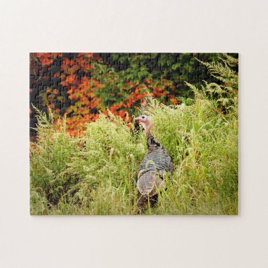 Wilde Turkije in het najaar in hoge gras Legpuzzel (Horizontaal)