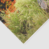 Wilde Turkije in het najaar in hoge gras Tissuepapier (Detail)