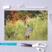 Wilde Turkije in het najaar in hoge gras Tissuepapier (Craft)