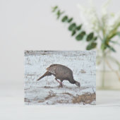 Wilde Turkije in Snowy Field Briefkaart (Staand voorkant)