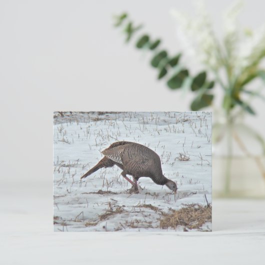 Wilde Turkije in Snowy Field Briefkaart (Staand voorkant)