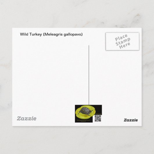 Wilde Turkije in Snowy Field Briefkaart (Achterkant)