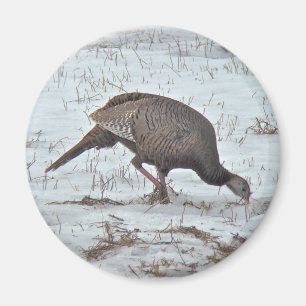 Wilde Turkije in Snowy Field Magneet