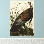 Wilde Turkije (man) van de Amerikaanse vogels van Canvas Afdruk (Insitu (Houten vloer))