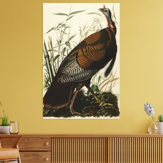 Wilde Turkije (man) van de Amerikaanse vogels van  Canvas Afdruk (Insitu (Woonkamer))