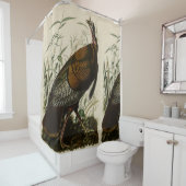 Wilde Turkije (man) van de Amerikaanse vogels van  Douchegordijn (In situ)