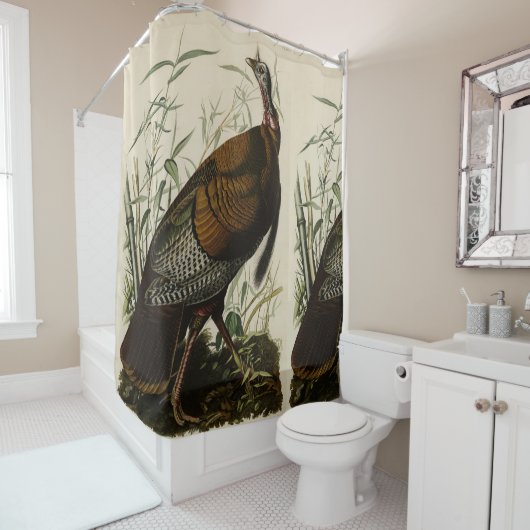 Wilde Turkije (man) van de Amerikaanse vogels van  Douchegordijn (In situ)