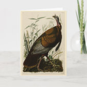 Wilde Turkije (man) van de Amerikaanse vogels van  Kaart (Voorkant)