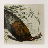 Wilde Turkije (man) van de Amerikaanse vogels van  Legpuzzel (Horizontaal)