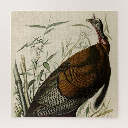 Wilde Turkije (man) van de Amerikaanse vogels van  Legpuzzel (Verticaal)