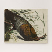 Wilde Turkije (man) van de Amerikaanse vogels van  Legpuzzel (Horizontaal)