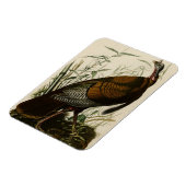 Wilde Turkije (man) van de Amerikaanse vogels van Magneet (Linkerzijde)
