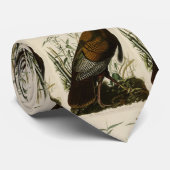 Wilde Turkije (man) van de Amerikaanse vogels van  Stropdas (Opgerold)