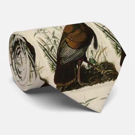 Wilde Turkije (man) van de Amerikaanse vogels van  Stropdas (Opgerold)