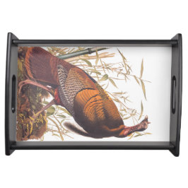 Wilde Turkse vogel van Audubon in de valleien Dienblad