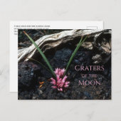 Wilde ui met bloem, lava, kraters van de maan briefkaart (Voorkant / Achterkant)