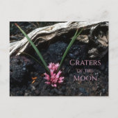 Wilde ui met bloem, lava, kraters van de maan briefkaart (Voorkant)