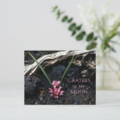 Wilde ui met bloem, lava, kraters van de maan briefkaart (Staand voorkant)
