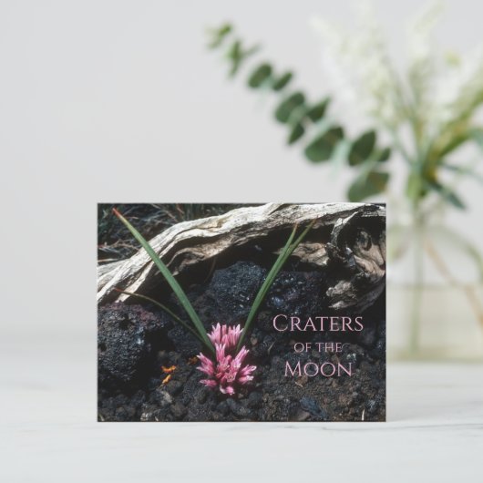 Wilde ui met bloem, lava, kraters van de maan briefkaart (Staand voorkant)