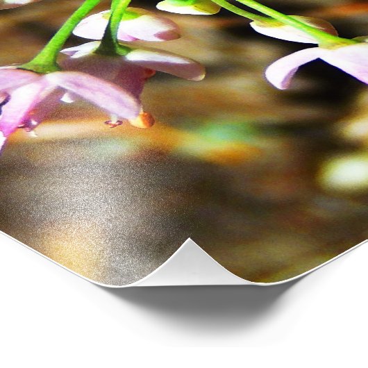 Wilde-uienventiel Foto Afdruk (Hoek)