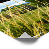 Wilde veldgras poster (Hoek)