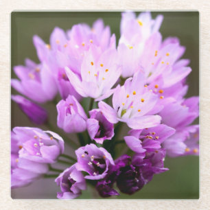 Wilde ventilator glazen onderzetter