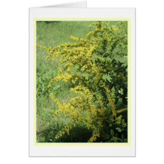 Wilde ventilatorkaart