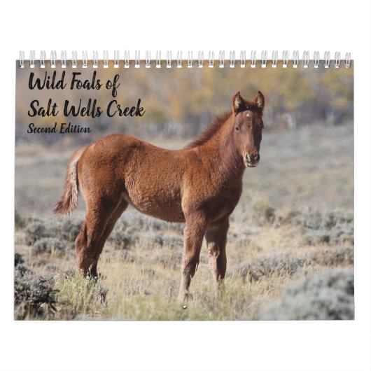 Wilde veulens van Salt Wells Creek Kalender (Hoes)