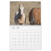 Wilde veulens van Salt Wells Creek Kalender (Mar 2027)