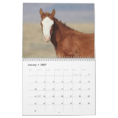 Wilde veulens van Salt Wells Creek Kalender (Jan 2027)