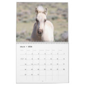 Wilde veulens van Salt Wells Creek Kalender (Mar 2026)