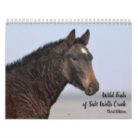 Wilde veulens van Salt Wells Creek