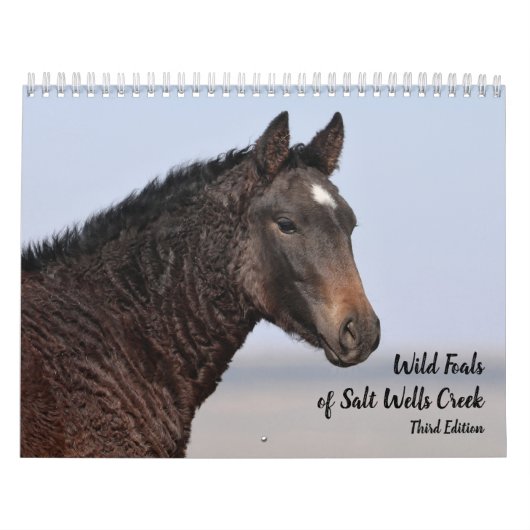 Wilde veulens van Salt Wells Creek Kalender (Hoes)