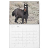 Wilde veulens van Salt Wells Creek Kalender (Jan 2027)