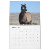 Wilde veulens van Salt Wells Creek Kalender (Feb 2027)