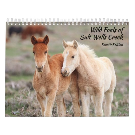 Wilde veulens van Salt Wells Creek Kalender (Hoes)