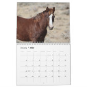 Wilde veulens van Salt Wells Creek Kalender (Jan 2026)
