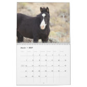 Wilde veulens van Salt Wells Creek Kalender (Mar 2027)