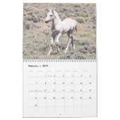 Wilde veulens van Salt Wells Creek Kalender (Feb 2027)