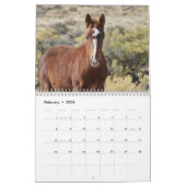 Wilde veulens van Salt Wells Creek Kalender (Feb 2026)