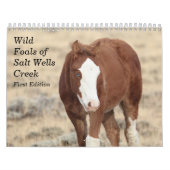 Wilde veulens van Salt Wells Creek Kalender (Hoes)
