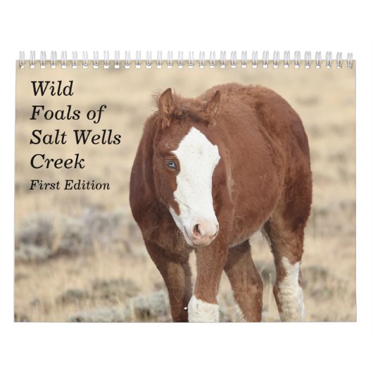 Wilde veulens van Salt Wells Creek Kalender (Hoes)