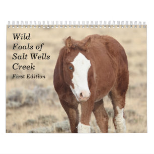 Wilde veulens van Salt Wells Creek Kalender