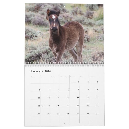 Wilde veulens van Salt Wells Creek Kalender (Jan 2026)