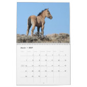 Wilde veulens van Salt Wells Creek Kalender (Mar 2027)