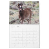 Wilde veulens van Salt Wells Creek Kalender (Jan 2027)