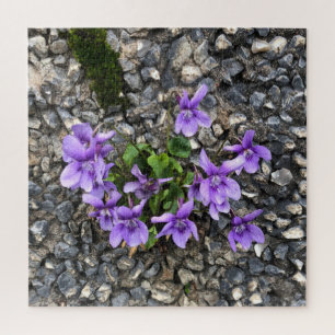 Wilde Viola-bloemen die groeien uit een ruwe gegot Legpuzzel