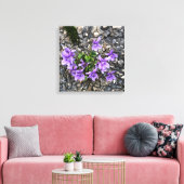 Wilde Viola bloemen groeien uit een ruwe gietwand Canvas Afdruk (Insitu (Woonkamer))